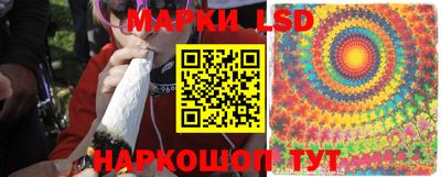 кокаин Гатчина